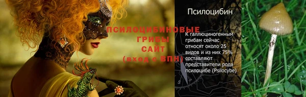 прущая мука Медногорск