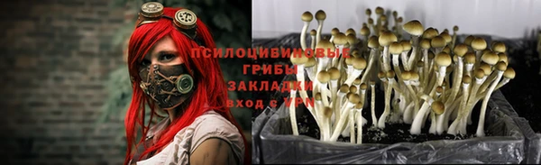 прущая мука Медногорск
