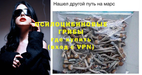 прущая мука Медногорск