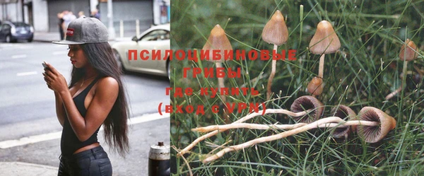 твердый Медвежьегорск