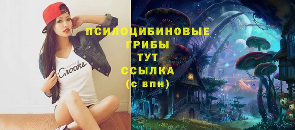 прущая мука Медногорск
