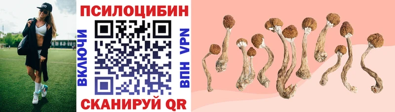Купить закладки  Нерехта  Галлюциногенные грибы MAGIC MUSHROOMS 
